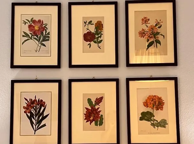 Le Farfalle Λα Σπέτσια