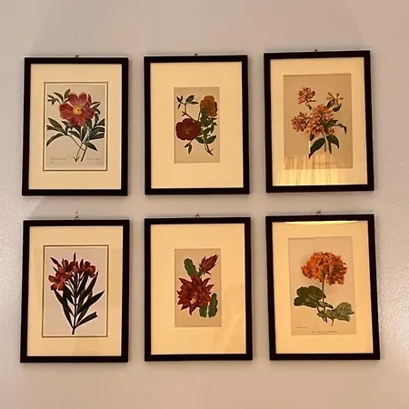 Le Farfalle La Spezia